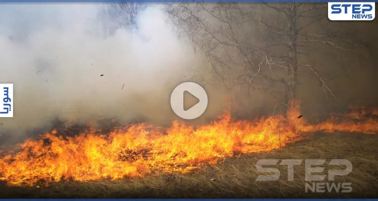 بالفيديو|| وصول الحرائق في سوريا إلى منازل المدنيين وخروج الأهالي لإطفائها وسط عجز واضح: أخبار