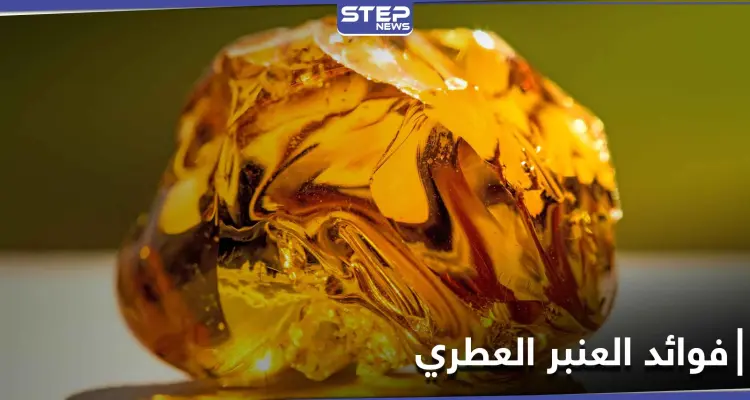 تعرف على العنبر العطري المستخرج من الحيتان .. فوائده لصحة القلب والإنجاب وتسكين الألم: أخبار