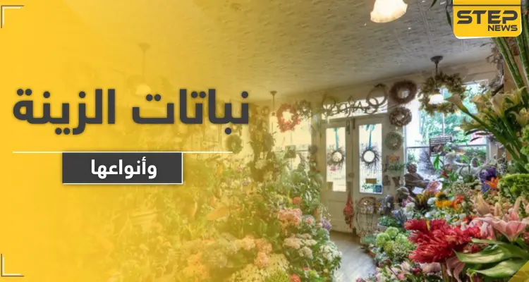 9 أنواع من نباتات الزينة سيسعدك وجودها في منزلك وحديقتك: أخبار
