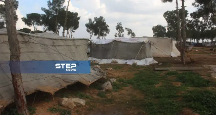 موجز أخبار الوضع السوري ليوم الأربعاء 27-02-2019: أخبار