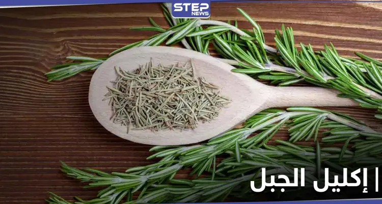 تعرّف على فوائد إكليل الجبل للصحة الجنسية للرجال وتحذير خطير من استخدامه للنساء: أخبار