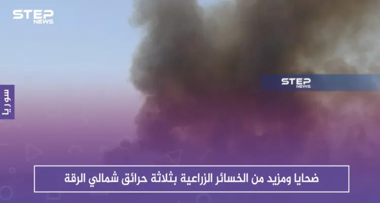 ضحايا ومزيد من الخسائر الزراعية بثلاثة حرائق شمالي الرقة: أخبار