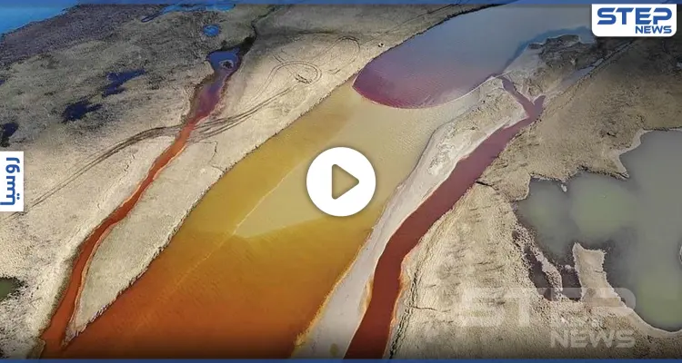 روسيا تعلن حالة الطوارئ بعد أكبر حادثة تسرب نفط في سيبيريا قد تغير مصير الأسماك حول العالم ( فيديو): أخبار