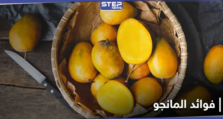 فاكهة غنية بالفيتامينات الضرورية لنمو الأطفال والوقاية من الأمراض .. تعرف إلى فوائد المانجو: أخبار