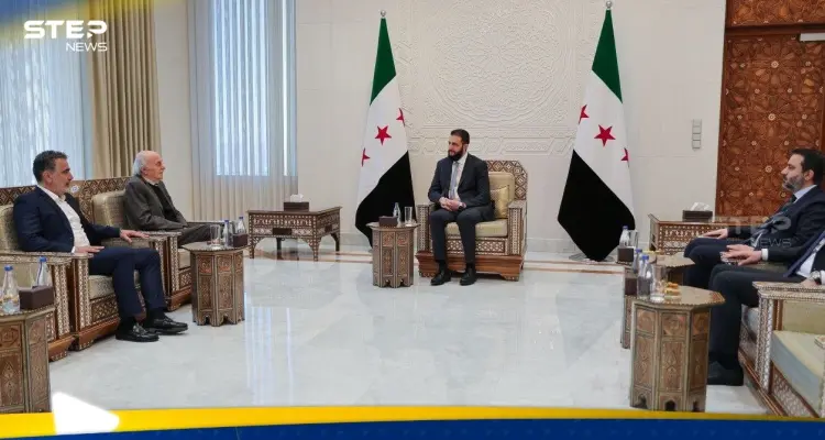 الشرع يستقبل جنبلاط.. ومصدر يكشف ماذا طلب الأخير: أخبار