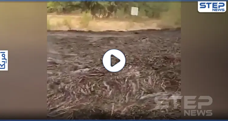 بالفيديو|| سيل أسود جارف في ولاية أريزونا الأمريكية بعد كارثة بيئية: أخبار