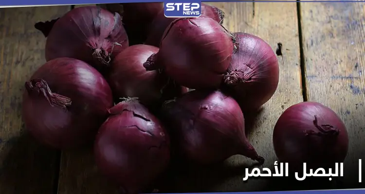 البصل الأحمر وتأثيره في جسم الإنسان.. فوائد لن تصدقها: أخبار