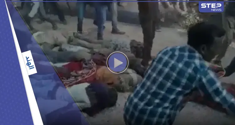 بالفيديو|| الأبقار تدوس على مجموعة هندوس بتقليد ديني يسمى "عبادة البقر": أخبار