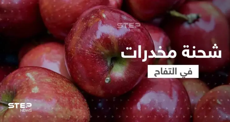 محكمة مصرية تصدر حكماً قوياً على عصابة هرّبت المخدرات من سوريا من خلال "التفاح": أخبار