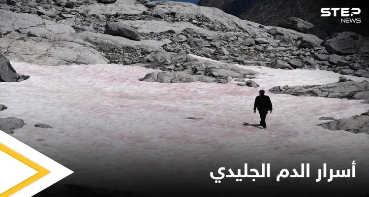 "الدم الجليدي" ظاهرة تحول الثلج إلى اللون الوردي في جبال الألب قد تغير المفاهيم العلمية حول المناخ في كوكبنا: أخبار