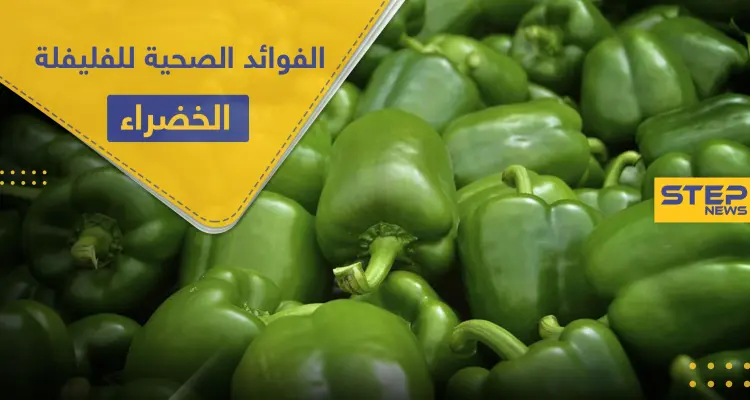 دور الفليفلة الخضراء في صحة القلب و الجهاز الهضمي وفوائد أخرى كثيرة: أخبار