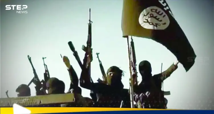 أمريكا تعلن تصفية قيادي "داعشي" بغارة جوية شمال غرب سوريا.. وتنشر صورة: أخبار