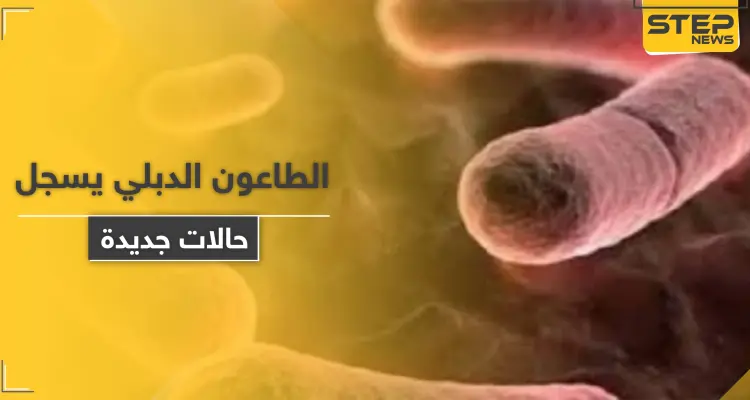 بعد الصين ومنغوليا.. الطاعون الدبلي يطرق باب أمريكا والسلطات تستعد: أخبار