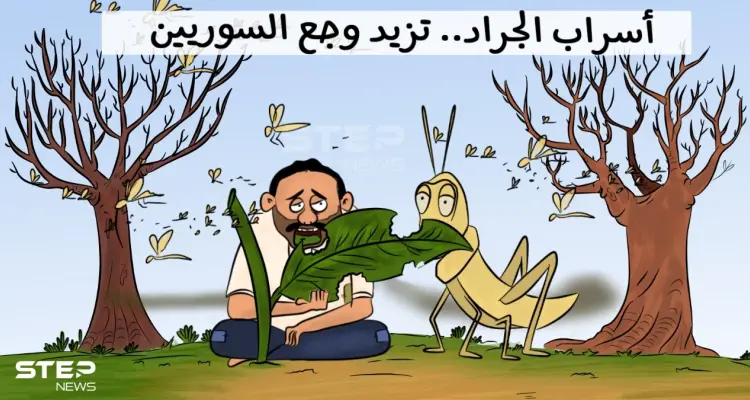 أسراب الجراد تهاجم سوريا: أخبار