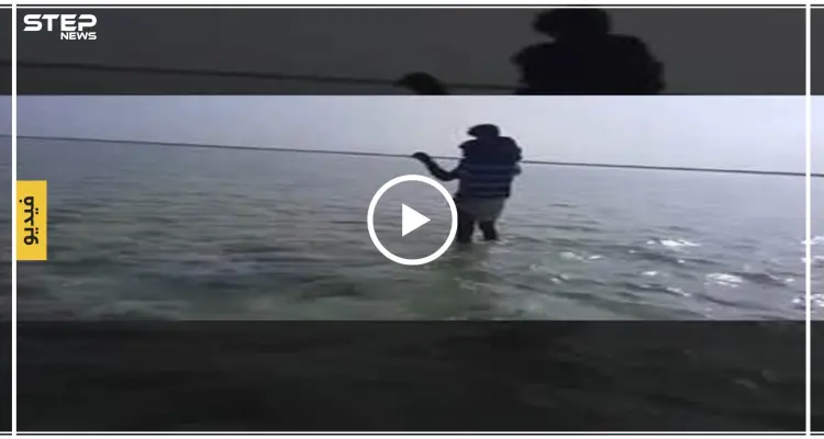 بالفيديو|| حوت ضخم يلقى حتفه على شواطئ اليمن بسبب لغم بحري: أخبار