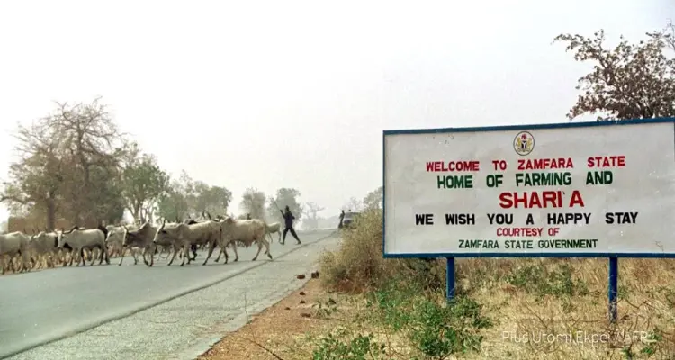 أ ف ب: عملية خطف جماعي جديدة في مدرسة شمال غرب نيجريا: أخبار