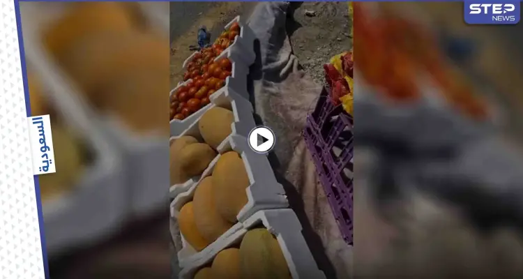 بالفيديو|| مواطن يحرج بائعة خضار مسنة ويقوم بتصويرها والتنمر عليها.. وإجراء قانوني عاجل بحقه: أخبار