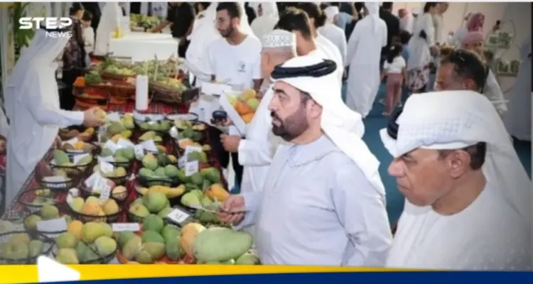 بهدف تبادل الخبرات.. الشارقة تستعد لإطلاق فعاليات  مهرجان المانجو: أخبار