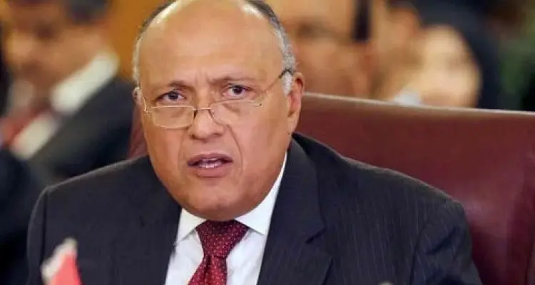 وزير الخارجية المصري يحذّر من ملء إثيوبيا سد النهضة ويعرض على غوتيرش سبل الحل: أخبار