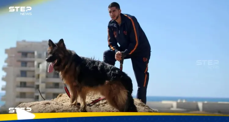 "كلاب ضخمة بمنازل غزة".. صحيفة عبرية تكشف عن ظاهرة جديدة يواجهها الجيش الإسرائيلي: أخبار