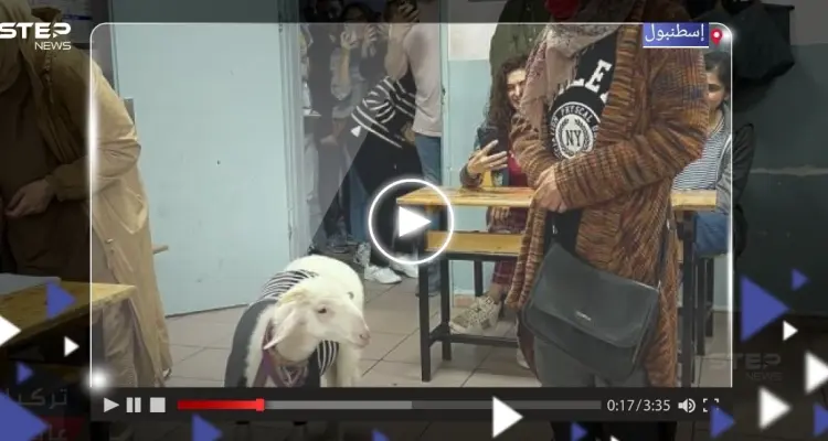 بالفيديو|| برفقة ماعزها.. مواطنة تركية تصوّت في الجولة الثانية من الانتخابات التركية: أخبار