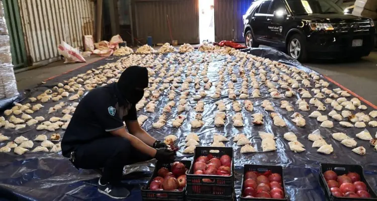 وزير الداخلية السعودية بعد ضبط ملايين حبوب الكبتاجون بفاكهة رمان لبنانية.. "أمن الممكلة خط أحمر": أخبار