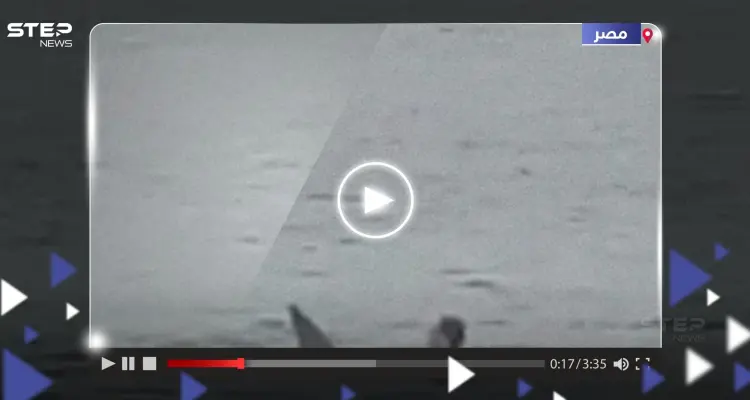 شاهد || قرش يلتهم سائح روسي قرب شاطئ الغردقة بمصر: أخبار
