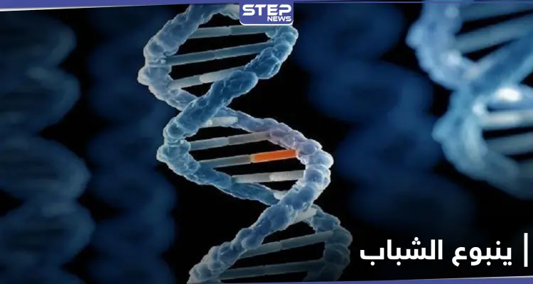 ينبوع الشباب.. اكتشاف طفرة جينية نادرة تحمي من أمراض خطيرة: أخبار
