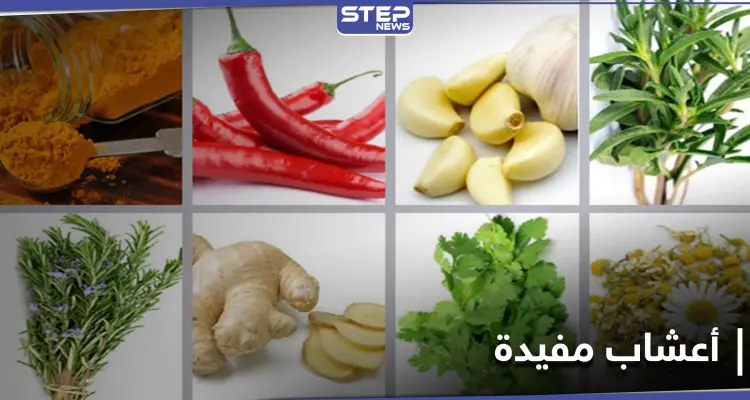 للتحكم في ضغط الدم المرتفع والسكري.. إليك 4 أنواع من الأعشاب: أخبار