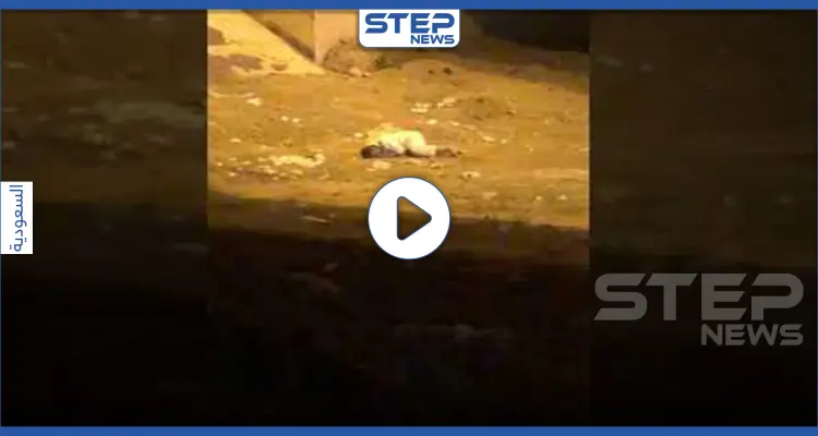 بالفيديو || أثار الذعر بين المواطنين.. رجل يسقط على الأرض في السعودية: أخبار
