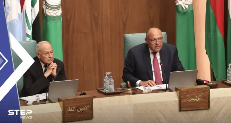 أبو الغيط: ليس هناك خارطة للتعامل مع الملف السوري: أخبار