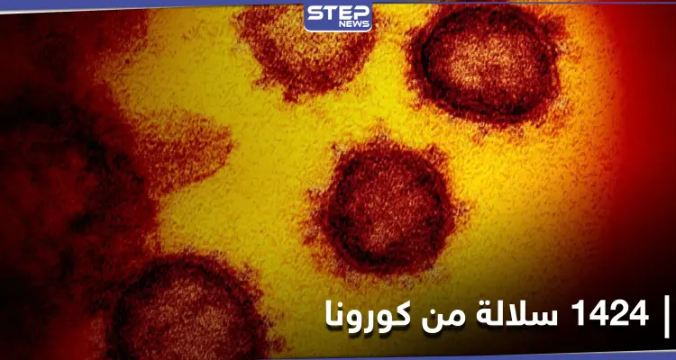 روسيا تكشف عن رصد 1424 سلالة من فيروس كورونا في البلاد: أخبار