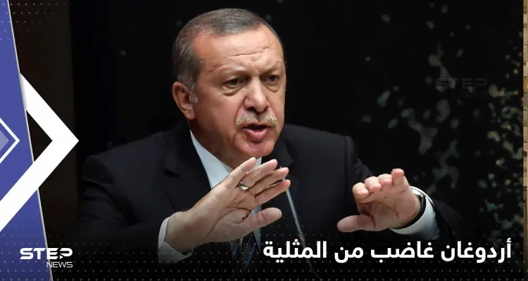 المثلية في تركيا تدفع أردوغان للتحرك.. بماذا تعهد وما علاقة الدستور؟: أخبار