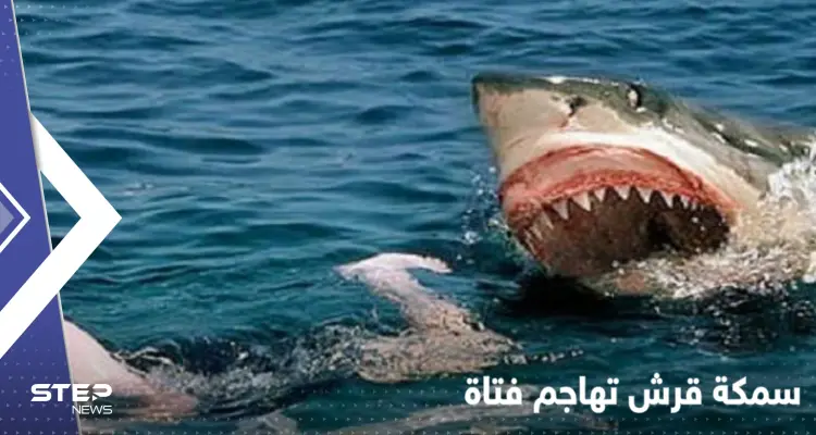 بالفيديو|| "صدمة" الناس على شاطئ استرالي بعد مهاجمة سمكة قرش لفتاة نزلت للبحر: أخبار