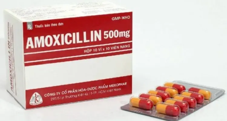 amoxicillin 500 دواعي الاستعمال والأعراض الجانبية: أخبار