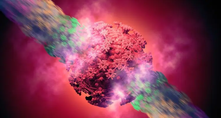 الصحة العالمية تعلن ظهور تغيرات على متحور دلتا في 28 دولة.. ومركز أمريكي يوصي بتطعيم الحوامل: أخبار