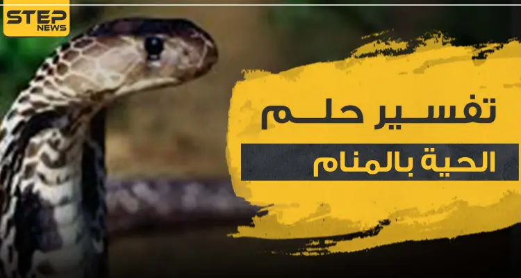 تفسير حلم الحية بالمنام بأكثر من 5 روايات ووفق كل الأوضاع: أخبار