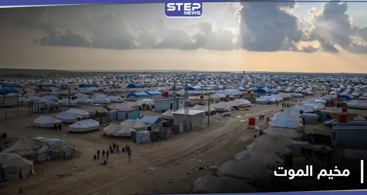 خاص|| رائحة الموت تفوح من مخيم الهول الخاص بعائلات داعش.. أكثر من 15 قتيل داخله بشهر: أخبار