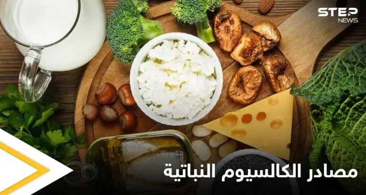 تعرف على قائمة من مصادر الكالسيوم النباتية تغنيك عن الحليب: أخبار