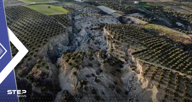 بالفيديو|| "وادي ضخم" يتشكل بمزرعة زيتون في هاتاي التركية بسبب الزلزال: أخبار