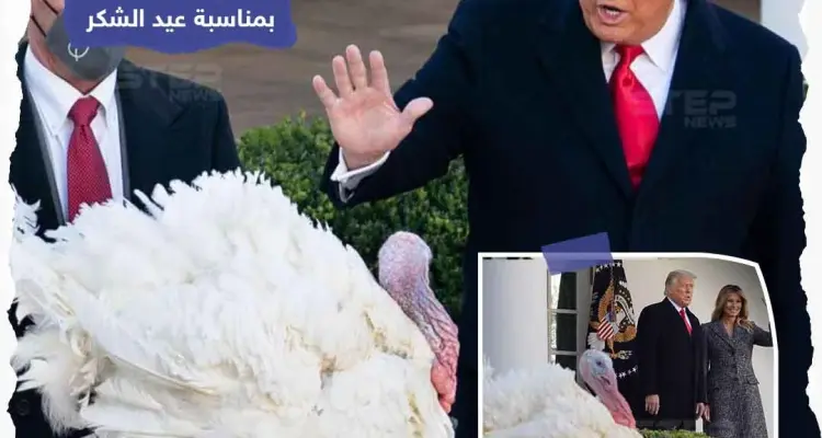 ترامب يعفو عن الديك الرومي "كورن" عملاً بالتقليد السنوي في البيت الأبيض قبل عيد الشكر والذي يستهلك خلاله الأمريكيون على مائدة العشاء مع عائلاتهم 45 مليون ديك رومي سنوياً.: أخبار