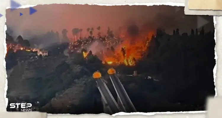 بالفيديو|| امرأة إيطالية تعبر بسيارتها بين نيران حرائق الغابات وطقس "غريب" يحيّر السكّان: أخبار