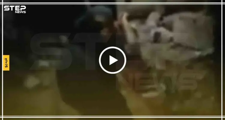 شاهد بالفيديو لحظة سقوط القذائف التي أطلقت من الجانب السوري على الأراضي التركية: أخبار