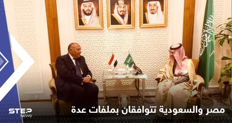 بيان مشترك.. مصر والسعودية ترفضان أي تهديدات لسوريا وتتوافقان على ملفات بالمنطقة: أخبار