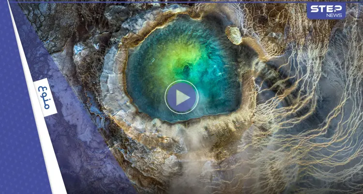 شاهد|| أحد أعظم اكتشافات الحفريات في بريطانيا.. "تنين البحر" الضخم منقرض من 90 مليون سنة: أخبار