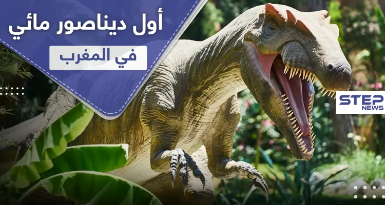 عاش في أنهار المغرب.. اكتشاف أول ديناصور مائي في العالم: أخبار