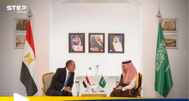 بيان سعودي مصري مشترك.. ماذا تضمن عن سوريا: أخبار