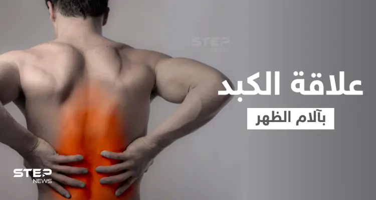 هل الكبد يسبب ألم الظهر وما هي الأعضاء الداخلية الأخرى التي تؤدي إلى ذلك: أخبار
