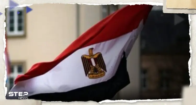 موقف مشترك ورسالة واحدة.. الخارجية المصرية تكشف ما سيقوله العرب لبلينكن اليوم: أخبار