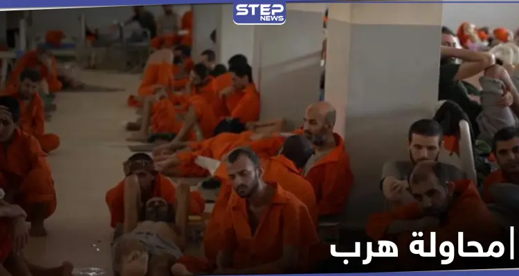 داعش يحاول تهريب مقاتليه من سجن بلدة الصور بدير الزور وقسد والتحالف يستنفرون: أخبار